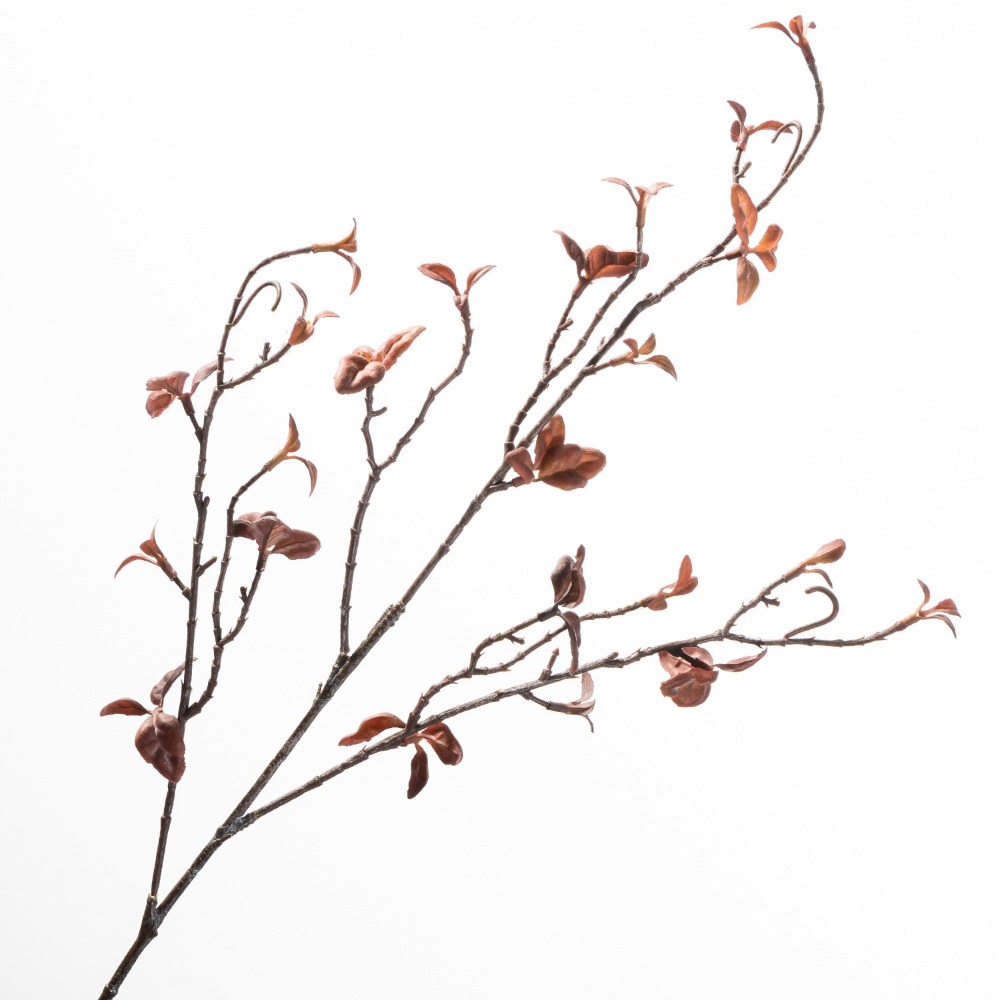 Real Touch Artificial Willow D - đánh giá và giá Branch Curly Willow