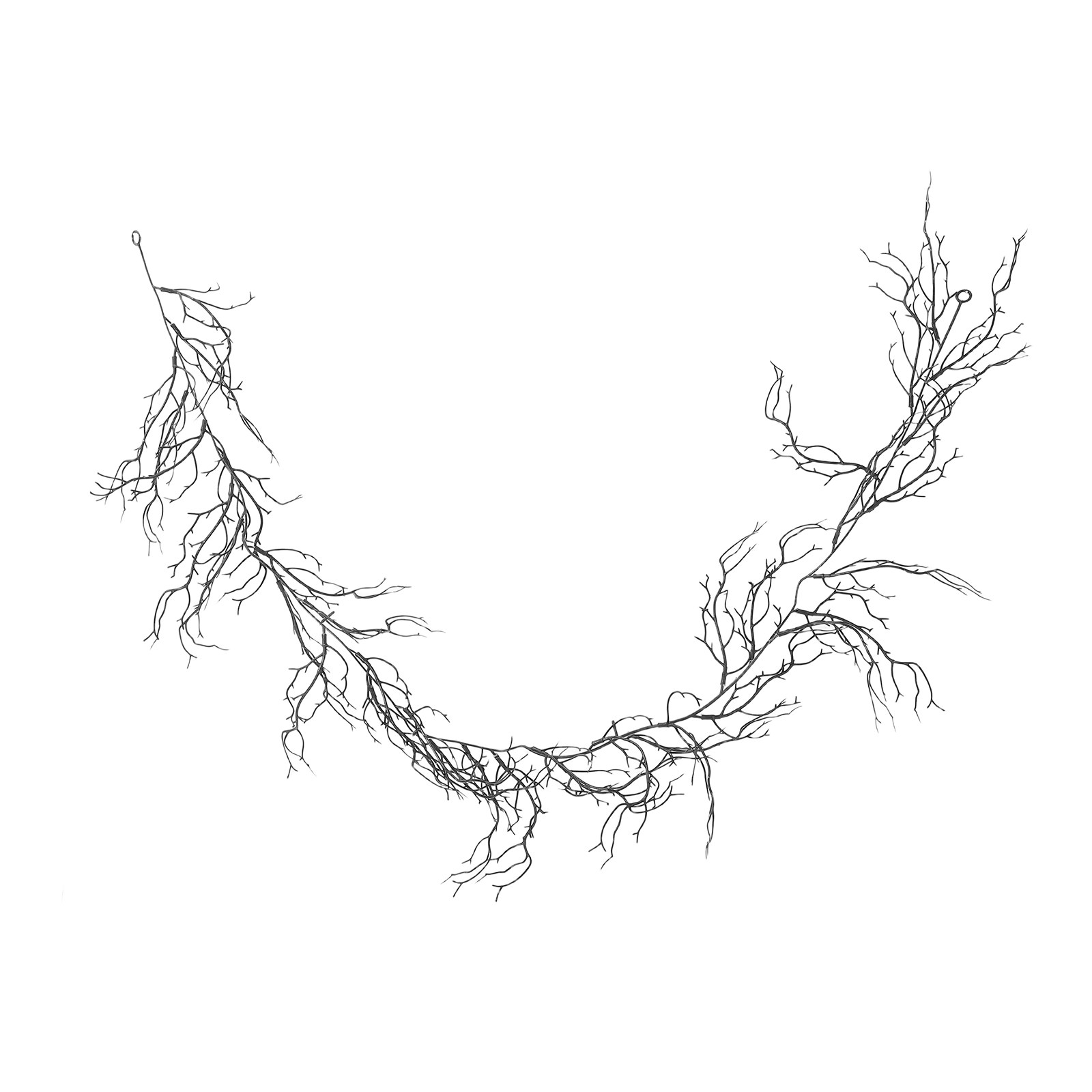Flexible Black Curly Willow Br - đánh giá và giá Branch Curly Willow