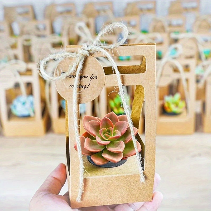 10Set Succulent Wrap Gift Bags - đánh giá và giá Flower Wrap Kraft
