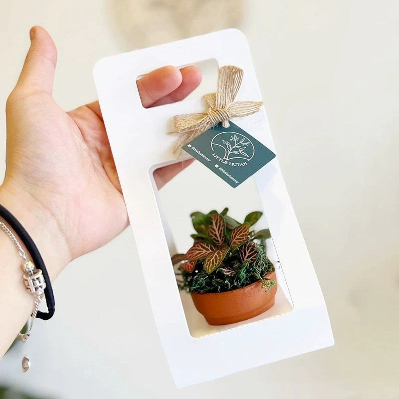 10Set Succulent Wrap Gift Bags - đánh giá và giá Flower Wrap Kraft