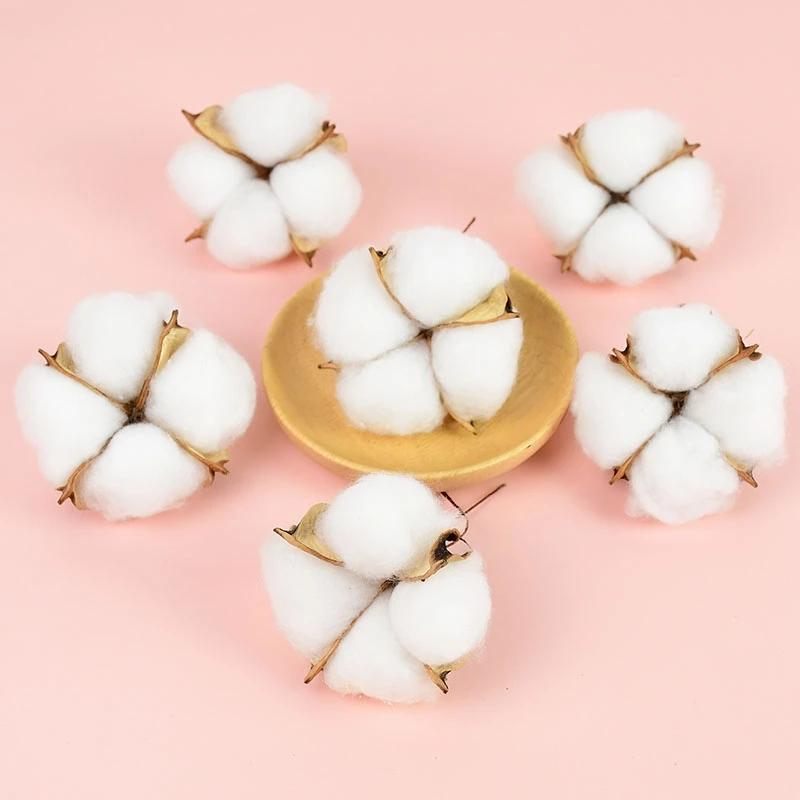 10Pcs White Cotton Florist Sup - đánh giá và giá Florist Wreath Supply