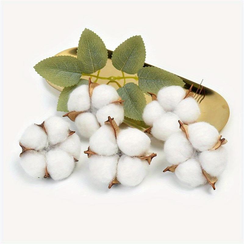10Pcs White Cotton Florist Sup - đánh giá và giá Florist Wreath Supply