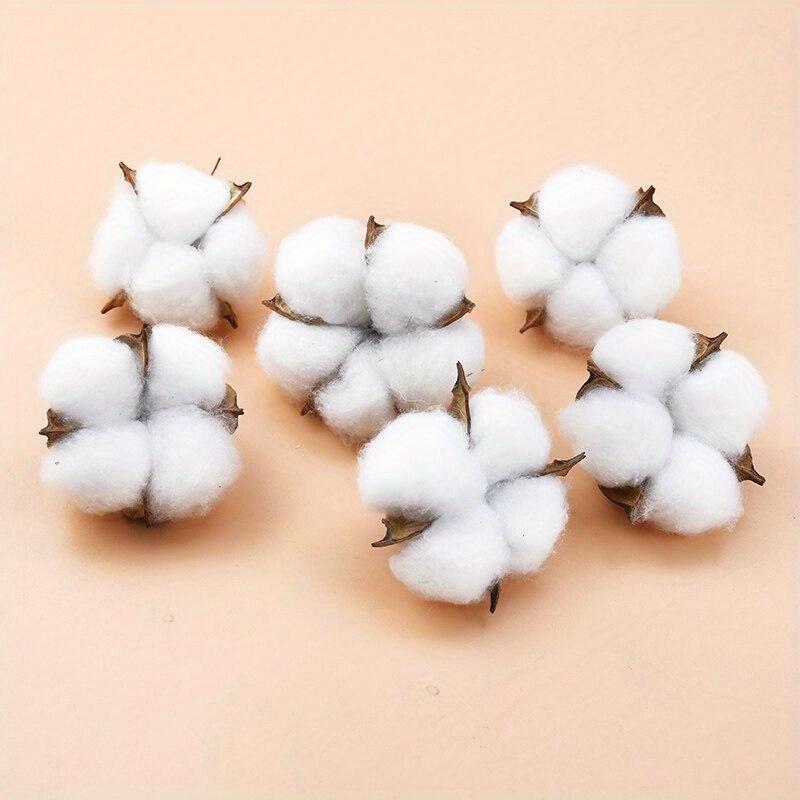 10Pcs White Cotton Florist Sup - đánh giá và giá Florist Wreath Supply