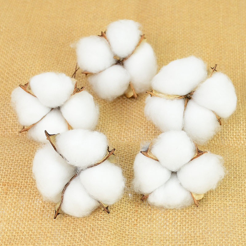 10Pcs White Cotton Florist Sup - đánh giá và giá Florist Wreath Supply