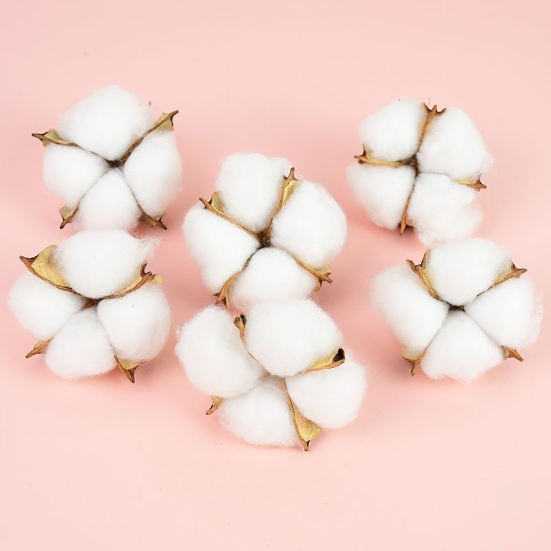 10Pcs White Cotton Florist Sup - đánh giá và giá Florist Wreath Supply