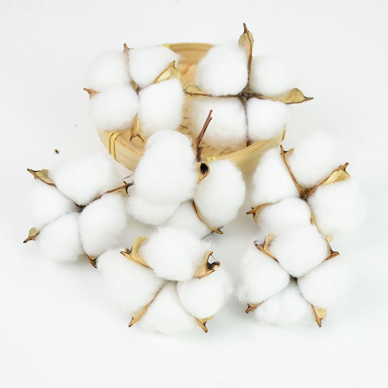 10Pcs White Cotton Florist Sup - đánh giá và giá Florist Wreath Supply