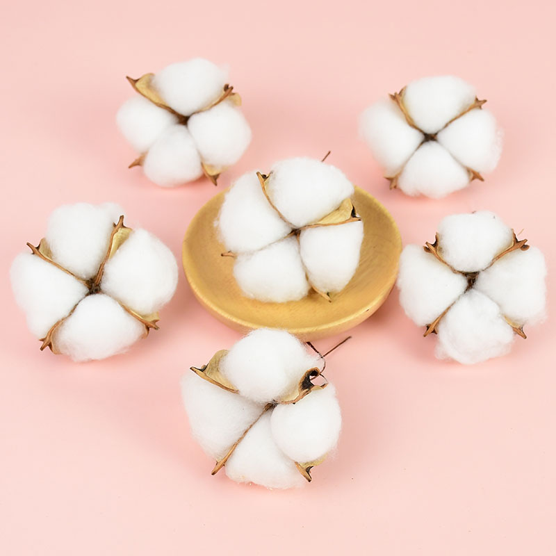 10Pcs White Cotton Florist Sup - đánh giá và giá Florist Wreath Supply